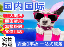 鄂尔多斯机场邮寄国际宠物托运 【国